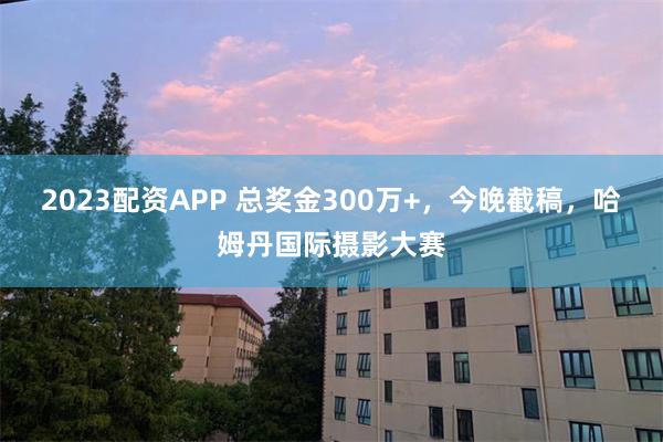 2023配资APP 总奖金300万+，今晚截稿，哈姆丹国际摄影大赛