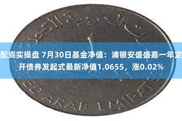 配资实操盘 7月30日基金净值：浦银安盛盛嘉一年定开债券发起式最新净值1.0655，涨0.02%