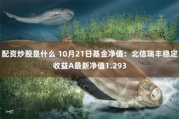 配资炒股是什么 10月21日基金净值：北信瑞丰稳定收益A最新净值1.293