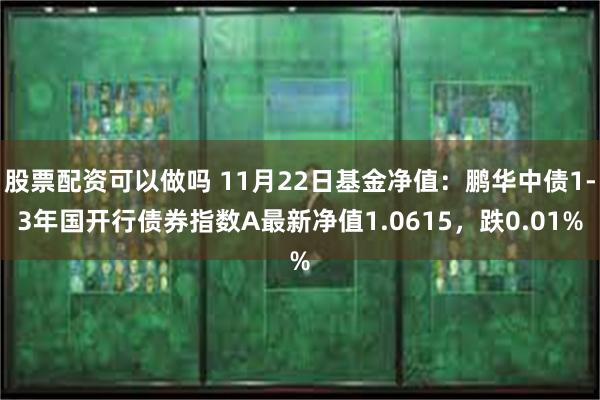 股票配资可以做吗 11月22日基金净值：鹏华中债1-3年国开行债券指数A最新净值1.0615，跌0.01%