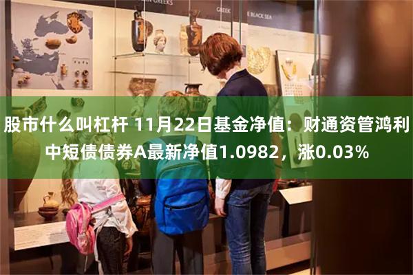 股市什么叫杠杆 11月22日基金净值：财通资管鸿利中短债债券A最新净值1.0982，涨0.03%