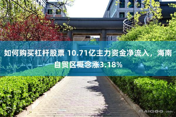 如何购买杠杆股票 10.71亿主力资金净流入，海南自贸区概念涨3.18%