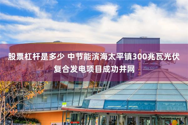 股票杠杆是多少 中节能滨海太平镇300兆瓦光伏复合发电项目成功并网