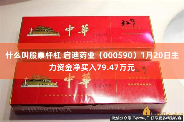 什么叫股票杆杠 启迪药业（000590）1月20日主力资金净买入79.47万元