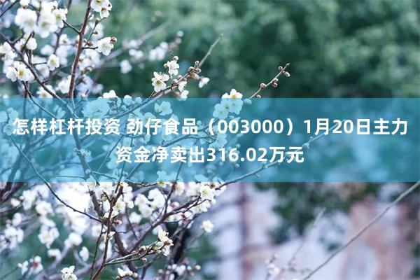 怎样杠杆投资 劲仔食品（003000）1月20日主力资金净卖出316.02万元