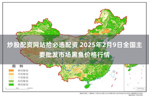 炒股配资网站拾必选配资 2025年2月9日全国主要批发市场黑鱼价格行情