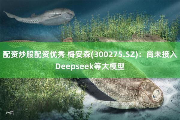 配资炒股配资优秀 梅安森(300275.SZ)：尚未接入Deepseek等大模型