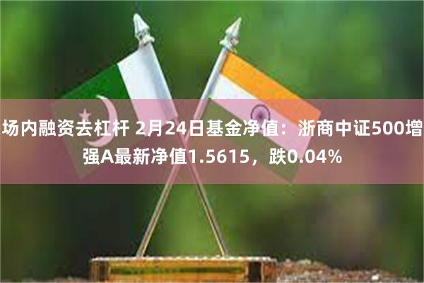 场内融资去杠杆 2月24日基金净值：浙商中证500增强A最新净值1.5615，跌0.04%