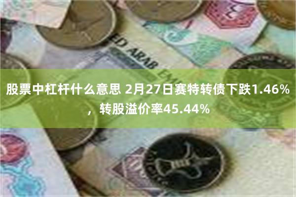 股票中杠杆什么意思 2月27日赛特转债下跌1.46%，转股溢价率45.44%